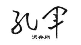 骆恒光孔军草书个性签名怎么写