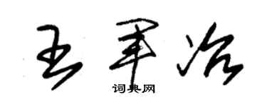 朱锡荣王军冶草书个性签名怎么写