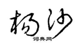 曾庆福杨沙草书个性签名怎么写