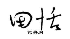 曾庆福田恬草书个性签名怎么写