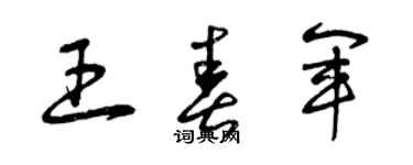 曾庆福王春军草书个性签名怎么写