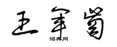 曾庆福王军岗草书个性签名怎么写