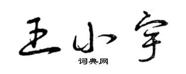 曾庆福王小宇草书个性签名怎么写