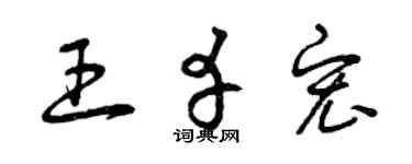 曾庆福王幸宏草书个性签名怎么写