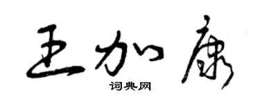 曾庆福王加康草书个性签名怎么写