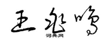 曾庆福王兆鸣草书个性签名怎么写