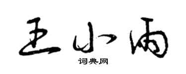 曾庆福王小雨草书个性签名怎么写