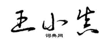 曾庆福王小真草书个性签名怎么写