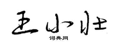 曾庆福王小壮草书个性签名怎么写