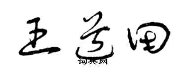 曾庆福王道田草书个性签名怎么写