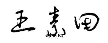 曾庆福王素田草书个性签名怎么写