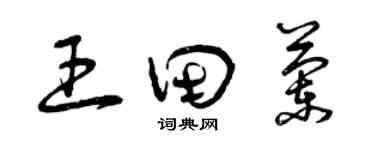 曾庆福王田兰草书个性签名怎么写