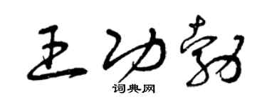 曾庆福王功勃草书个性签名怎么写