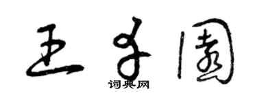 曾庆福王幸园草书个性签名怎么写