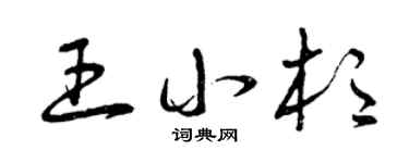 曾庆福王小杉草书个性签名怎么写