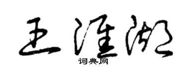 曾庆福王淮湖草书个性签名怎么写