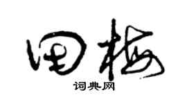 曾庆福田梅草书个性签名怎么写