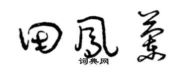 曾庆福田凤兰草书个性签名怎么写