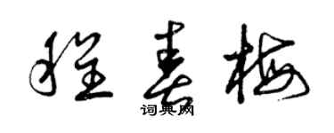 曾庆福程春梅草书个性签名怎么写