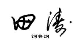 朱锡荣田涛草书个性签名怎么写