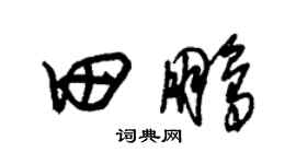 朱锡荣田鹏草书个性签名怎么写