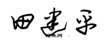 朱锡荣田建平草书个性签名怎么写