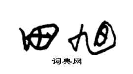 朱锡荣田旭草书个性签名怎么写