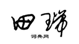 朱锡荣田瑞草书个性签名怎么写