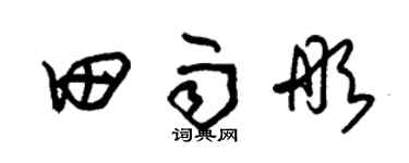 朱锡荣田雨彤草书个性签名怎么写