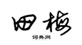 朱锡荣田梅草书个性签名怎么写