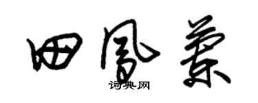 朱锡荣田凤兰草书个性签名怎么写