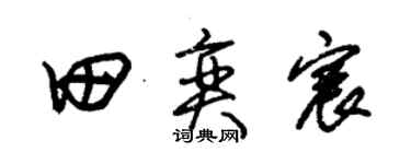 朱锡荣田奕宸草书个性签名怎么写