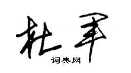 朱锡荣杜军草书个性签名怎么写