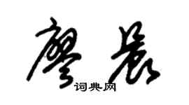 朱锡荣廖晨草书个性签名怎么写