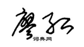 朱锡荣廖红草书个性签名怎么写