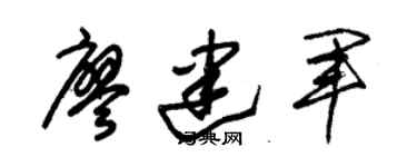 朱锡荣廖建军草书个性签名怎么写