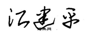 朱锡荣江建平草书个性签名怎么写