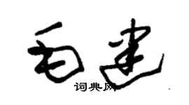 朱锡荣毛建草书个性签名怎么写