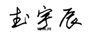 朱锡荣武宇辰草书个性签名怎么写