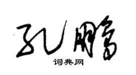 朱锡荣孔鹏草书个性签名怎么写