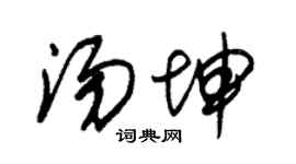 朱锡荣汤坤草书个性签名怎么写