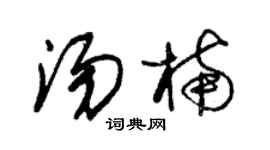 朱锡荣汤楠草书个性签名怎么写