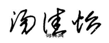 朱锡荣汤佳怡草书个性签名怎么写