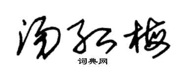 朱锡荣汤红梅草书个性签名怎么写