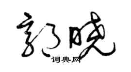 曾庆福郭晓草书个性签名怎么写