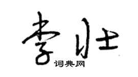 曾庆福李壮草书个性签名怎么写