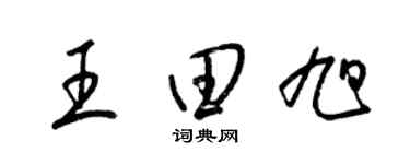 梁锦英王田旭草书个性签名怎么写