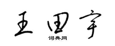 梁锦英王田宇草书个性签名怎么写