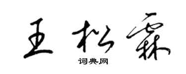 梁锦英王松霖草书个性签名怎么写