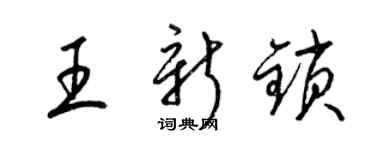 梁锦英王新锁草书个性签名怎么写